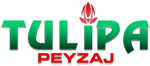 Tulipa Peyzaj